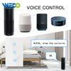 US Standard Alexa Google Control Smart Curtain Wifi Switch Panel