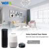 Europe Standard Alexa Google WIFI Family Voice Control Support Tuya Support Smart Life Smart Touch Switch 