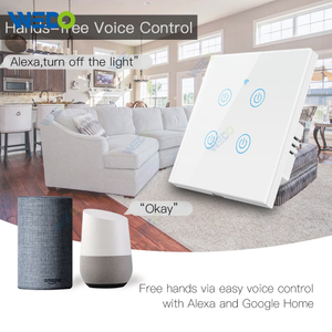 Europe Standard Alexa Google WIFI Family Voice Control Support Tuya Support Smart Life Smart Touch Switch 
